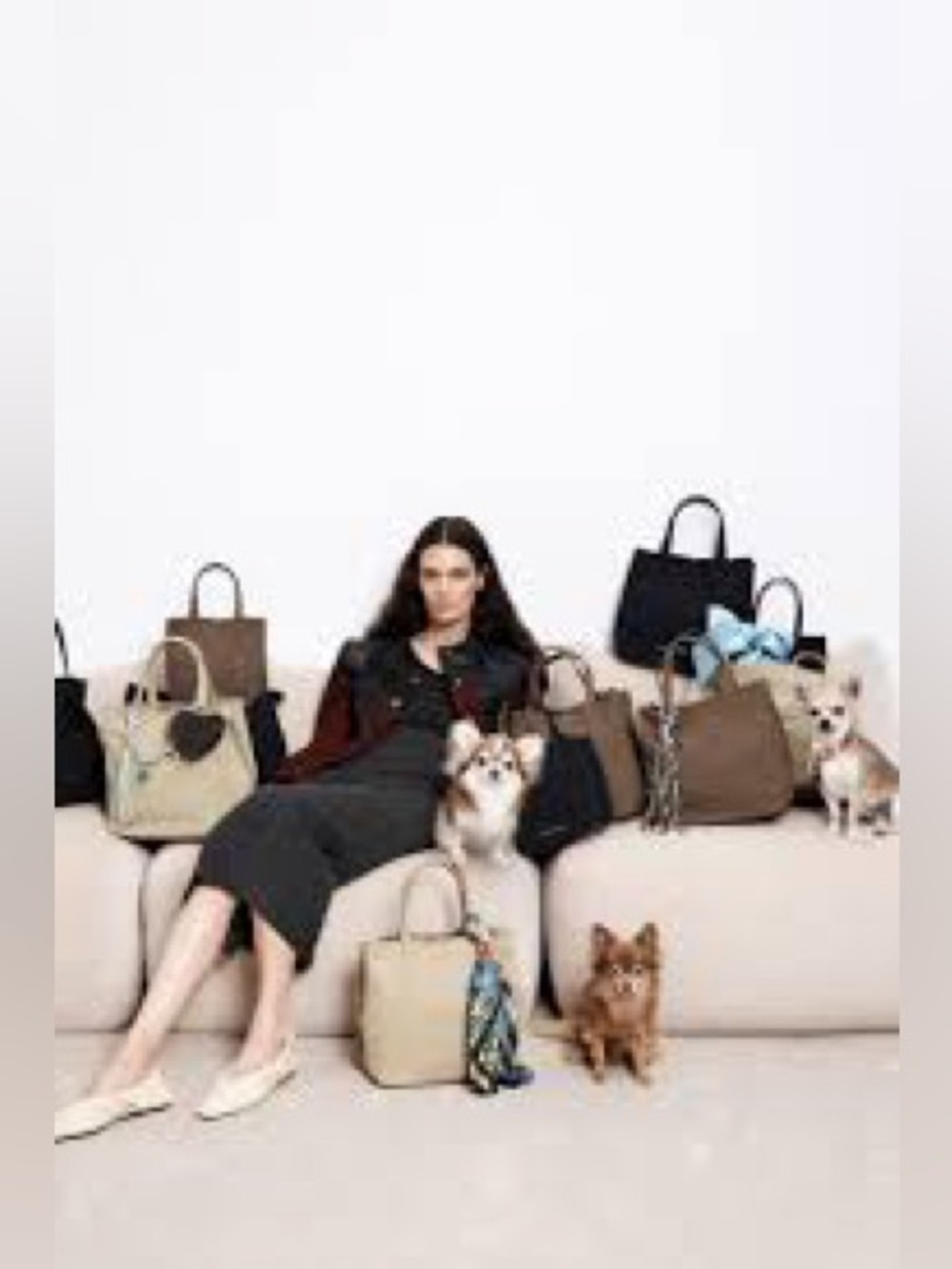 Bimba y Lola chihuahua Collection Black Nylon Small Bag Crossbody Tote - Picture 8 of 16